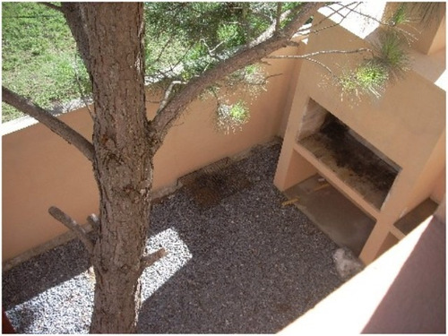 Apartamento En Alquiler Por Temporada De 3 Dormitorios En Manantiales