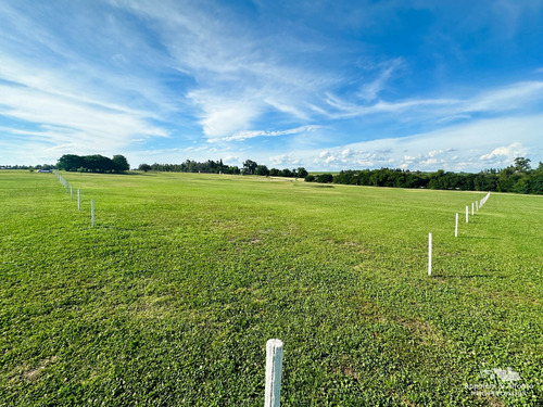 Quintas Pellice - Solar 02
