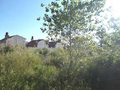 Imagen 11 de 14 de Lote En San Clemente