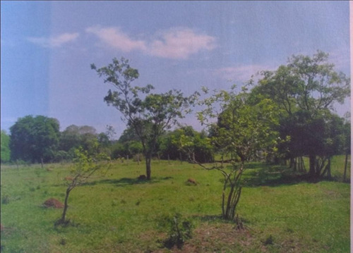 Imagem 1 de 8 de Terreno Amplo - Te2103
