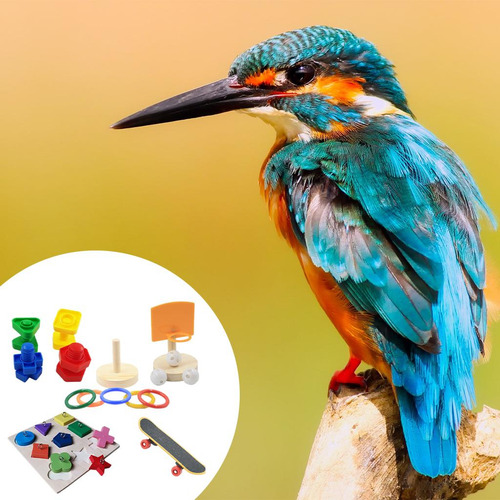 Juguete Para Loros Altura Ajustable Varios Juegos Para Aves