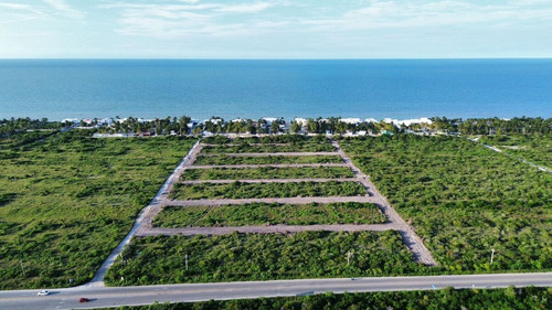 Lotes En Venta Soletta A Tan Solo Unos Minutos D Elas Playas De Chicxulub.