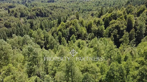 Parcela Con Bosque Nativo.