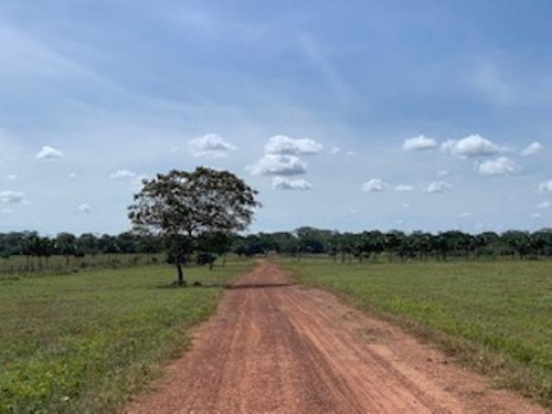 Imagen 9 de 23 de Venta De Finca Edo. Guarico, Pao Los Dos Caminos 1082 Hectáreas