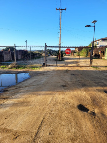 Terreno Ubicado A Menos De Un Kilometro De Algarrobo Centro