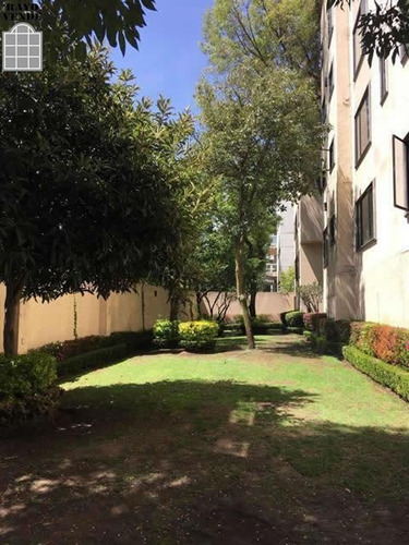 Imagen 13 de 22 de Departamento En Venta Y Renta En Pedregal