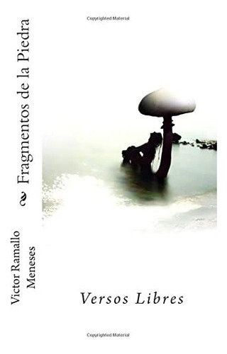 Libro: Fragmentos De La Piedra: Versos Libres (spanish