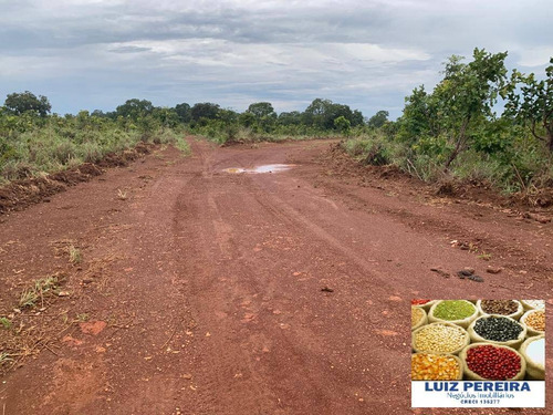 Imagem 14 de 15 de Fazenda À Venda Em Monte Santo - To - De 83 Alqueirões (dupla Aptidão) - 1623