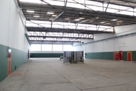 Imagem 5 de 15 de Galpao Industrial - Jordanopolis - Ref: 449 - L-1896