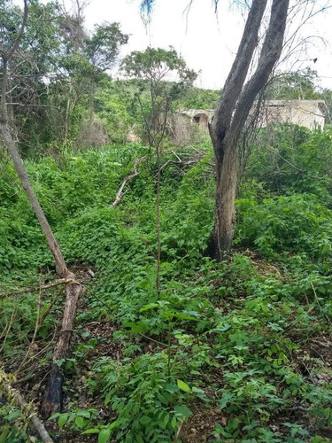Imagen 5 de 14 de Terreno En Residencial San Lorenzo En Primera Fila