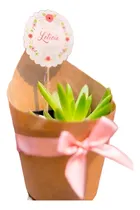 Comprar Plantas Suculentas, Regalos, Recuerdos, Matrimonios, Reunion
