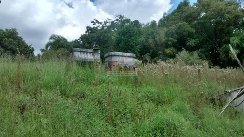 Imagem 5 de 30 de Chácara Para Venda - Lageado/ibiúna - 24.200m² - Id 1312 - 1312