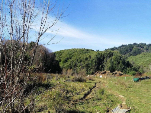 Los Canles / Valle Nonguen