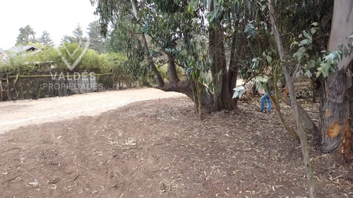 Terreno Plano Los Pinos Gran Conectividad