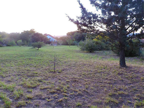 Imagen 11 de 19 de Vendo Hermoso Terreno En Las Sierras De Cordoba