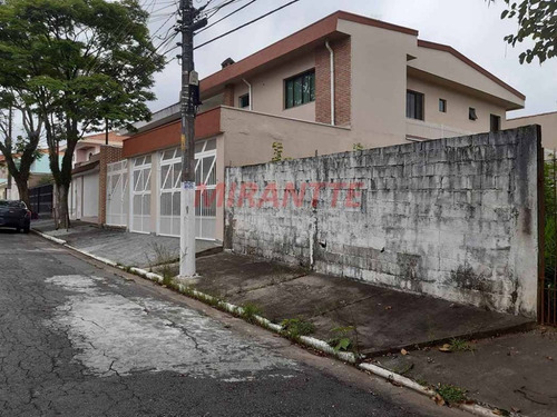 Imagem 4 de 5 de Terreno Em Jardim Guapíra - São Paulo, Sp - 333021