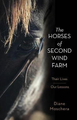 Libro The Horses Of Second Wind Farm : Their Lives - Our ...