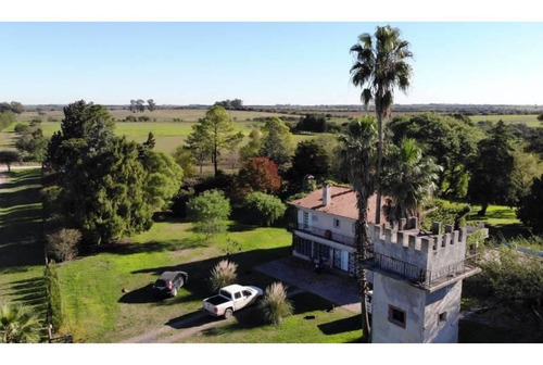 Imagen 8 de 27 de Comoda Casa Quinta De 4 Dormitorios Y 13.000 M2 De Parque Arbolado