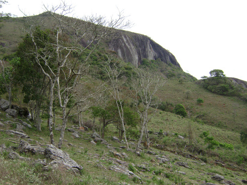 Sítio Deslumbrante Com Água Própria E Vista Eterna