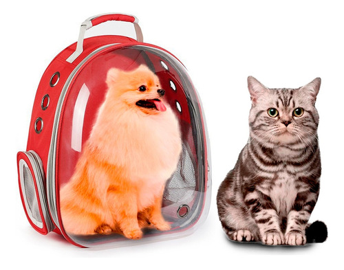 Mochila Para Mascotas De Viaje Portátil Para Perro Y Gato