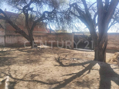 Terreno En Venta, Poblado Los Negritos