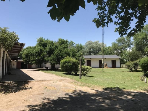 Oportunidad Única Venta De Campo Sobre Ruta Nacional 8 - Duggan, San Antonio De Areco - Mallmann Pro