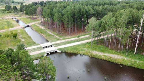 Imagen 10 de 30 de Lotes A La Venta En La Aldea Club De Campo - Colon Entre Rios Desde Usd 38.000!