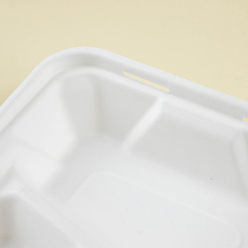 Contenedor Blanco De Caña De Azúcar 50pzs 8x8' Biodegradable