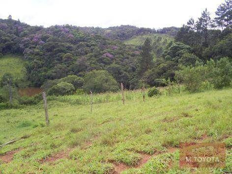 Imagem 18 de 20 de Sítio À Venda, 163000 M² Por R$ 650.000,00 - Vargem Do Salto - Ibiúna/sp - Si0001
