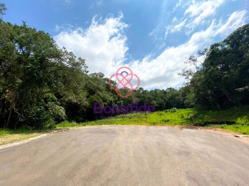 Imagem 5 de 20 de Terreno, Santa Esmeralda, Jardim Rosaura, Jundiaí - Te09484 - 70468344