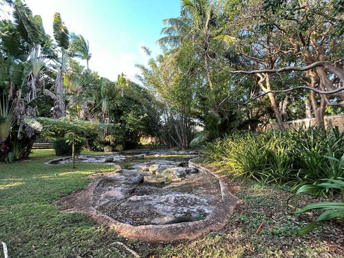 Residencia En Venta En Mérida, Col. Montecristo, Con Terreno De 6,500 M2