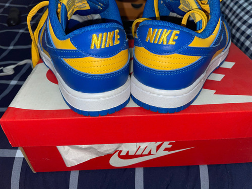 Nike Dunk Low Retro (Usado)