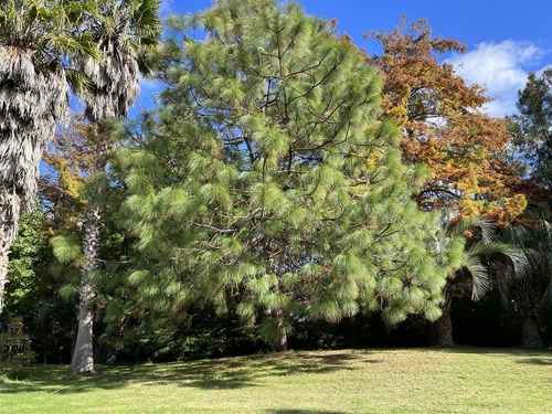 Venta De Casa En Barrio El Golf De Punta Del Este, Maravillosa Casa De Lujo