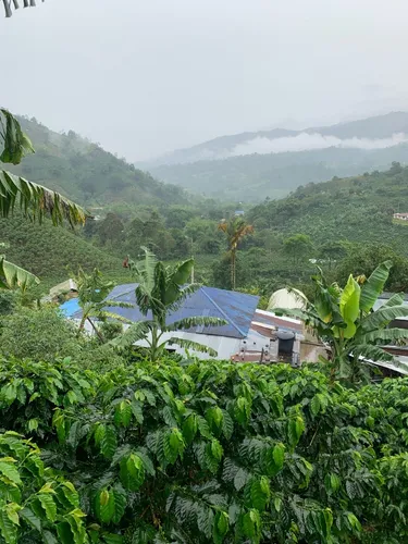 Finca En Venta