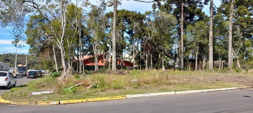 Imagem 4 de 8 de Terreno - Centro - Ref: 347519 - L-347519