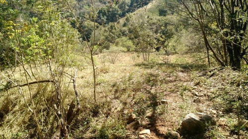 Imagem 5 de 12 de Sítio Para Venda Em Vargem, Lopo - 5422_2-318296