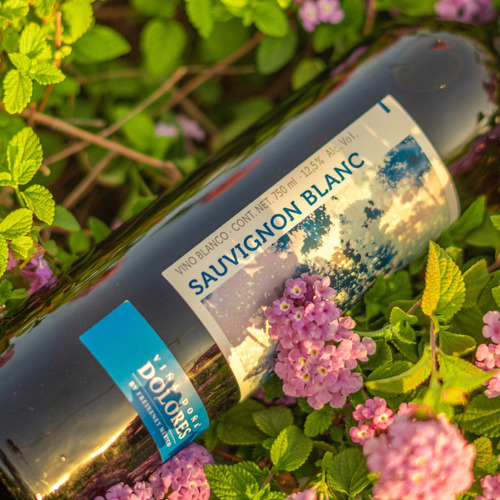 Vino Blanco Viña Dolores Sauvignon Blanc, 750 Ml
