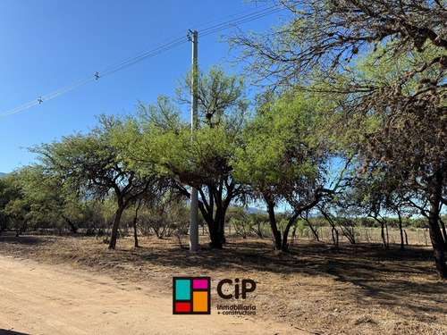 Venta De Lotes En Carpinteria Financiados
