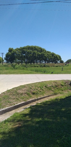 Imagen 14 de 17 de Galpon En 2 Lotes Mar De Ajo Propuesta Comercial