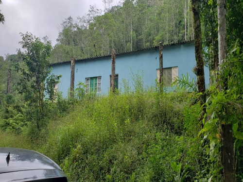 Chácara Em Mongaguá - 6296 - 69282919