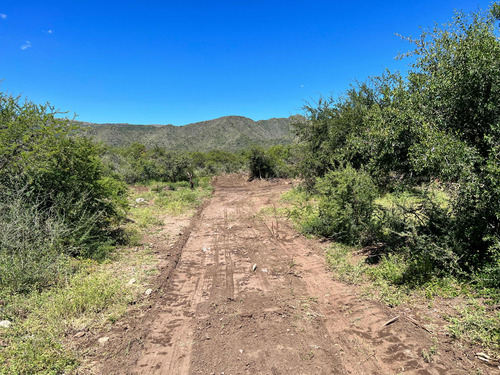 Tres Hectareas En San Francisco Del Monte De Oro.