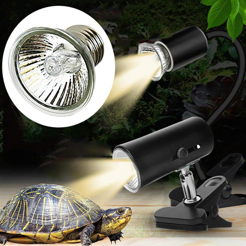 Lâmpada Para Répteis, Lâmpada De Foco Lâmpadas De 50 W
