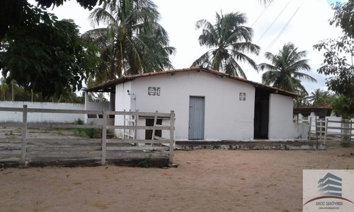 Imagem 4 de 11 de Granja A Venda Em Monte Alegre