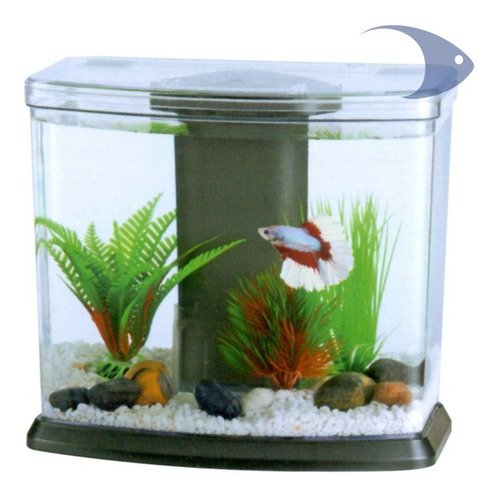 Acuario Mini Pecera Betta 6 Litros Boyu C/ Filtro, Lampara