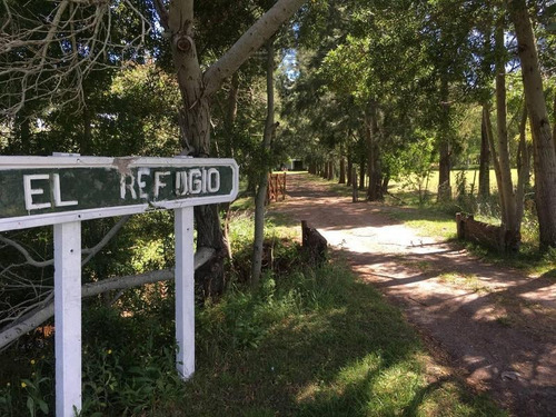 Imagen 6 de 30 de Campo En Venta En Bavio | Ruta 11 E/el Pino Y Km.42 (bavio) 19 Has