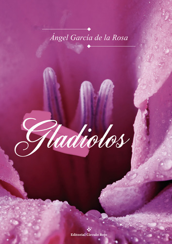 Gladiolos, De García De La Rosa  Ángel.. Grupo Editorial Círculo Rojo Sl, Tapa Blanda, Edición 1.0 En Español