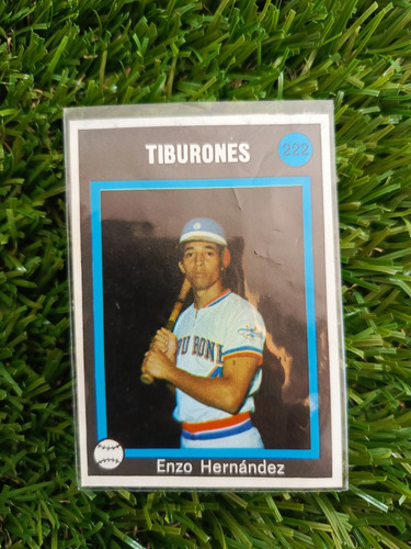 1974 Béisbol Profesional Venezolano Enzo Hernández #222