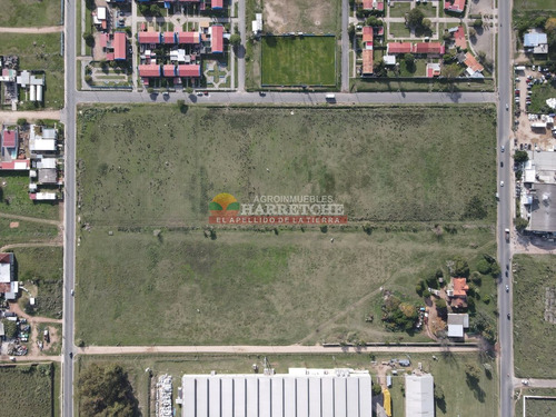 Imagen 4 de 11 de Terreno Urbanizable En Inmejorable Zona, Entre Las Piedras Y La Paz A