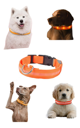 Collar Led Para Perros Gatos Ajustable Con 3 Modos Luz