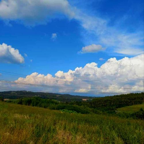 Imagem 8 de 15 de 11o- Terreno Próximo À Carapicuiba